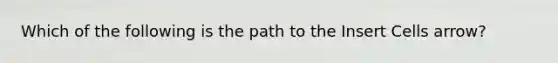 Which of the following is the path to the Insert Cells arrow?