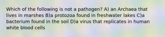 Which of the following is not a pathogen? A) an Archaea that lives in marshes B)a protozoa found in freshwater lakes C)a bacterium found in the soil D)a virus that replicates in human white blood cells