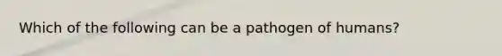 Which of the following can be a pathogen of humans?