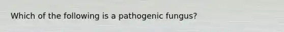 Which of the following is a pathogenic fungus?