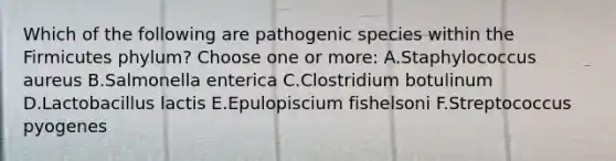 Which of the following are pathogenic species within the Firmicutes phylum? Choose one or more: A.Staphylococcus aureus B.Salmonella enterica C.Clostridium botulinum D.Lactobacillus lactis E.Epulopiscium fishelsoni F.Streptococcus pyogenes