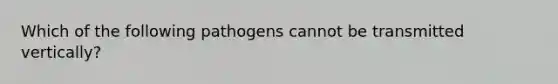 Which of the following pathogens cannot be transmitted vertically?