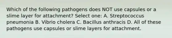 Which of the following pathogens does NOT use capsules or a slime layer for attachment? Select one: A. Streptococcus pneumonia B. Vibrio cholera C. Bacillus anthracis D. All of these pathogens use capsules or slime layers for attachment.