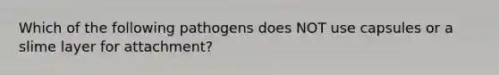 Which of the following pathogens does NOT use capsules or a slime layer for attachment?