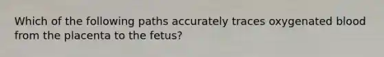 Which of the following paths accurately traces oxygenated blood from the placenta to the fetus?