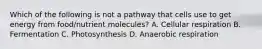 Which of the following is not a pathway that cells use to get energy from food/nutrient molecules? A. Cellular respiration B. Fermentation C. Photosynthesis D. Anaerobic respiration