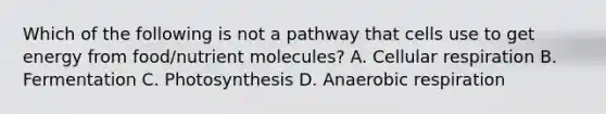 Which of the following is not a pathway that cells use to get energy from food/nutrient molecules? A. <a href='https://www.questionai.com/knowledge/k1IqNYBAJw-cellular-respiration' class='anchor-knowledge'>cellular respiration</a> B. Fermentation C. Photosynthesis D. An<a href='https://www.questionai.com/knowledge/kyxGdbadrV-aerobic-respiration' class='anchor-knowledge'>aerobic respiration</a>