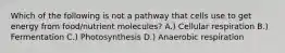 Which of the following is not a pathway that cells use to get energy from food/nutrient molecules? A.) Cellular respiration B.) Fermentation C.) Photosynthesis D.) Anaerobic respiration