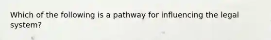 Which of the following is a pathway for influencing the legal system?