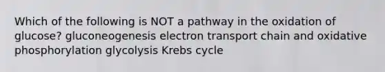 Which of the following is NOT a pathway in the oxidation of glucose? gluconeogenesis electron transport chain and <a href='https://www.questionai.com/knowledge/kFazUb9IwO-oxidative-phosphorylation' class='anchor-knowledge'>oxidative phosphorylation</a> glycolysis <a href='https://www.questionai.com/knowledge/kqfW58SNl2-krebs-cycle' class='anchor-knowledge'>krebs cycle</a>