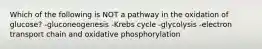 Which of the following is NOT a pathway in the oxidation of glucose? -gluconeogenesis -Krebs cycle -glycolysis -electron transport chain and oxidative phosphorylation