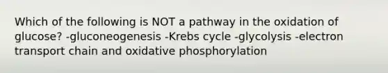 Which of the following is NOT a pathway in the oxidation of glucose? -gluconeogenesis -Krebs cycle -glycolysis -electron transport chain and oxidative phosphorylation