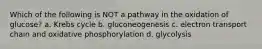 Which of the following is NOT a pathway in the oxidation of glucose? a. Krebs cycle b. gluconeogenesis c. electron transport chain and oxidative phosphorylation d. glycolysis