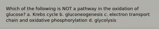 Which of the following is NOT a pathway in the oxidation of glucose? a. Krebs cycle b. gluconeogenesis c. electron transport chain and oxidative phosphorylation d. glycolysis