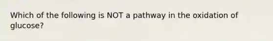 Which of the following is NOT a pathway in the oxidation of glucose?