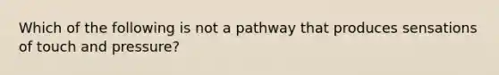 Which of the following is not a pathway that produces sensations of touch and pressure?