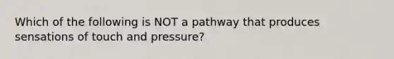 Which of the following is NOT a pathway that produces sensations of touch and pressure?