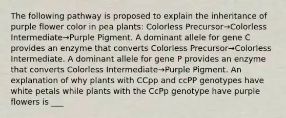 The following pathway is proposed to explain the inheritance of purple flower color in pea plants: Colorless Precursor→Colorless Intermediate→Purple Pigment. A dominant allele for gene C provides an enzyme that converts Colorless Precursor→Colorless Intermediate. A dominant allele for gene P provides an enzyme that converts Colorless Intermediate→Purple Pigment. An explanation of why plants with CCpp and ccPP genotypes have white petals while plants with the CcPp genotype have purple flowers is ___