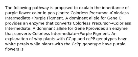 The following pathway is proposed to explain the inheritance of purple flower color in pea plants: Colorless Precursor→Colorless Intermediate→Purple Pigment. A dominant allele for Gene C provides an enzyme that converts Colorless Precursor→Colorless Intermediate. A dominant allele for Gene Pprovides an enzyme that converts Colorless Intermediate→Purple Pigment. An explanation of why plants with CCpp and ccPP genotypes have white petals while plants with the CcPp genotype have purple flowers is