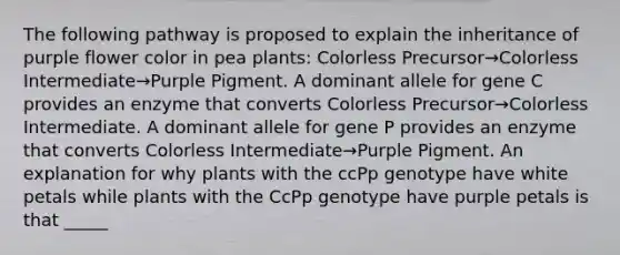 The following pathway is proposed to explain the inheritance of purple flower color in pea plants: Colorless Precursor→Colorless Intermediate→Purple Pigment. A dominant allele for gene C provides an enzyme that converts Colorless Precursor→Colorless Intermediate. A dominant allele for gene P provides an enzyme that converts Colorless Intermediate→Purple Pigment. An explanation for why plants with the ccPp genotype have white petals while plants with the CcPp genotype have purple petals is that _____