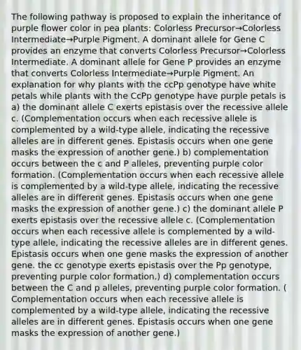 The following pathway is proposed to explain the inheritance of purple flower color in pea plants: Colorless Precursor→Colorless Intermediate→Purple Pigment. A dominant allele for Gene C provides an enzyme that converts Colorless Precursor→Colorless Intermediate. A dominant allele for Gene P provides an enzyme that converts Colorless Intermediate→Purple Pigment. An explanation for why plants with the ccPp genotype have white petals while plants with the CcPp genotype have purple petals is a) the dominant allele C exerts epistasis over the recessive allele c. (Complementation occurs when each recessive allele is complemented by a wild-type allele, indicating the recessive alleles are in different genes. Epistasis occurs when one gene masks the expression of another gene.) b) complementation occurs between the c and P alleles, preventing purple color formation. (Complementation occurs when each recessive allele is complemented by a wild-type allele, indicating the recessive alleles are in different genes. Epistasis occurs when one gene masks the expression of another gene.) c) the dominant allele P exerts epistasis over the recessive allele c. (Complementation occurs when each recessive allele is complemented by a wild-type allele, indicating the recessive alleles are in different genes. Epistasis occurs when one gene masks the expression of another gene. the cc genotype exerts epistasis over the Pp genotype, preventing purple color formation.) d) complementation occurs between the C and p alleles, preventing purple color formation. ( Complementation occurs when each recessive allele is complemented by a wild-type allele, indicating the recessive alleles are in different genes. Epistasis occurs when one gene masks the expression of another gene.)