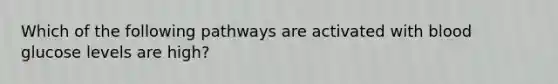 Which of the following pathways are activated with blood glucose levels are high?