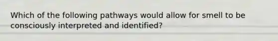 Which of the following pathways would allow for smell to be consciously interpreted and identified?