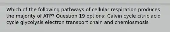 Which of the following pathways of <a href='https://www.questionai.com/knowledge/k1IqNYBAJw-cellular-respiration' class='anchor-knowledge'>cellular respiration</a> produces the majority of ATP? Question 19 options: Calvin cycle citric acid cycle glycolysis electron transport chain and chemiosmosis