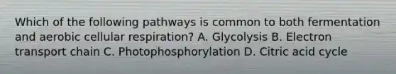 Which of the following pathways is common to both fermentation and aerobic cellular respiration? A. Glycolysis B. Electron transport chain C. Photophosphorylation D. Citric acid cycle