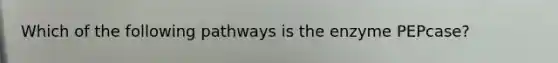 Which of the following pathways is the enzyme PEPcase?