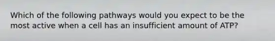 Which of the following pathways would you expect to be the most active when a cell has an insufficient amount of ATP?
