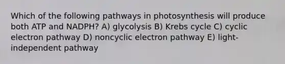 Which of the following pathways in photosynthesis will produce both ATP and NADPH? A) glycolysis B) <a href='https://www.questionai.com/knowledge/kqfW58SNl2-krebs-cycle' class='anchor-knowledge'>krebs cycle</a> C) cyclic electron pathway D) noncyclic electron pathway E) light-independent pathway