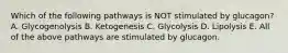 Which of the following pathways is NOT stimulated by glucagon? A. Glycogenolysis B. Ketogenesis C. Glycolysis D. Lipolysis E. All of the above pathways are stimulated by glucagon.