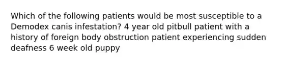 Which of the following patients would be most susceptible to a Demodex canis infestation? 4 year old pitbull patient with a history of foreign body obstruction patient experiencing sudden deafness 6 week old puppy