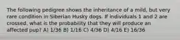 The following pedigree shows the inheritance of a mild, but very rare condition in Siberian Husky dogs. If individuals 1 and 2 are crossed, what is the probability that they will produce an affected pup? A) 1/36 B) 1/16 C) 4/36 D) 4/16 E) 16/36