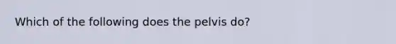 Which of the following does the pelvis do?