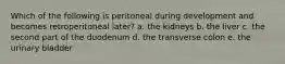 Which of the following is peritoneal during development and becomes retroperitoneal later? a. the kidneys b. the liver c. the second part of the duodenum d. the transverse colon e. the urinary bladder