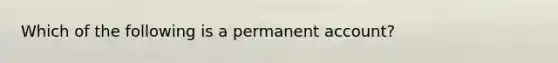 Which of the following is a permanent​ account?