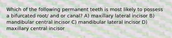 Which of the following permanent teeth is most likely to possess a bifurcated root/ and or canal? A) maxillary lateral incisor B) mandibular central incisor C) mandibular lateral incisor D) maxillary central incisor