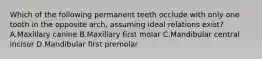 Which of the following permanent teeth occlude with only one tooth in the opposite arch, assuming ideal relations exist? A.Maxillary canine B.Maxillary first molar C.Mandibular central incisor D.Mandibular first premolar