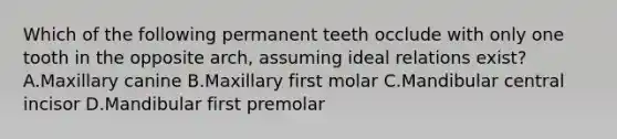 Which of the following permanent teeth occlude with only one tooth in the opposite arch, assuming ideal relations exist? A.Maxillary canine B.Maxillary first molar C.Mandibular central incisor D.Mandibular first premolar