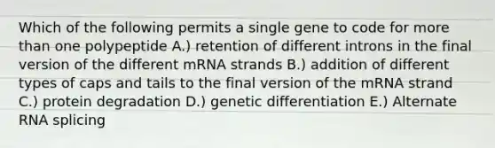 Which of the following permits a single gene to code for more than one polypeptide A.) retention of different introns in the final version of the different mRNA strands B.) addition of different types of caps and tails to the final version of the mRNA strand C.) protein degradation D.) genetic differentiation E.) Alternate RNA splicing