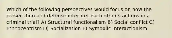 Which of the following perspectives would focus on how the prosecution and defense interpret each other's actions in a criminal trial? A) Structural functionalism B) Social conflict C) Ethnocentrism D) Socialization E) Symbolic interactionism