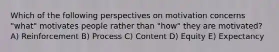 Which of the following perspectives on motivation concerns "what" motivates people rather than "how" they are motivated? A) Reinforcement B) Process C) Content D) Equity E) Expectancy