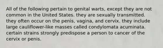 All of the following pertain to genital warts, except they are not common in the United States. they are sexually transmitted. they often occur on the penis, vagina, and cervix. they include large cauliflower-like masses called condylomata acuminata. certain strains strongly predispose a person to cancer of the cervix or penis.