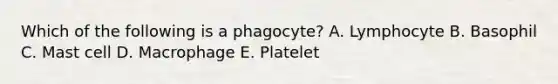 Which of the following is a phagocyte? A. Lymphocyte B. Basophil C. Mast cell D. Macrophage E. Platelet