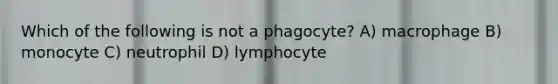 Which of the following is not a phagocyte? A) macrophage B) monocyte C) neutrophil D) lymphocyte