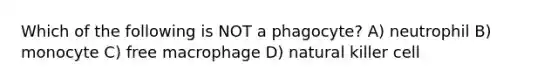 Which of the following is NOT a phagocyte? A) neutrophil B) monocyte C) free macrophage D) natural killer cell