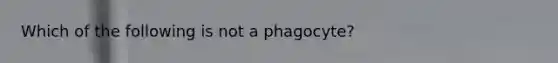 Which of the following is not a phagocyte?