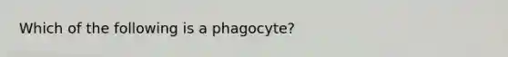 Which of the following is a phagocyte?